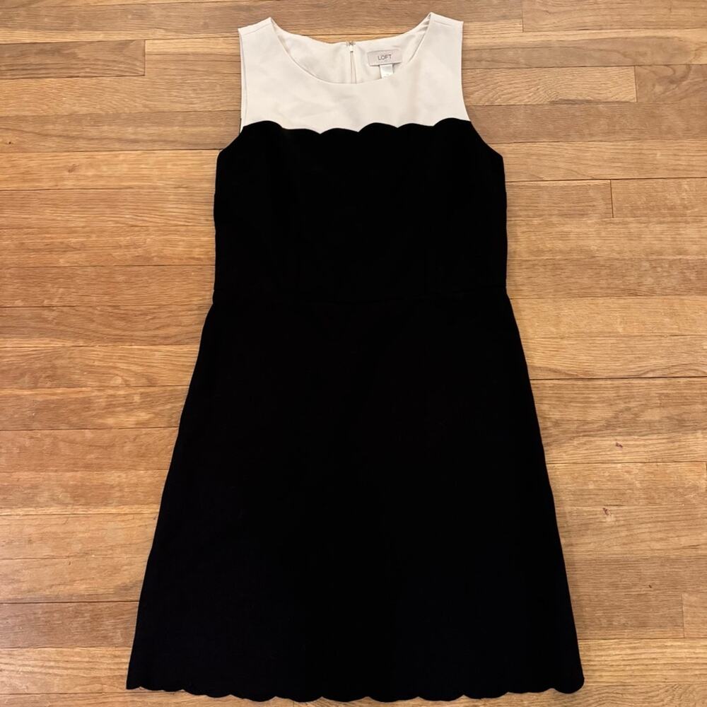Loft black cream sleeveless scalloped hem knee length sheath dress size 10
 b46